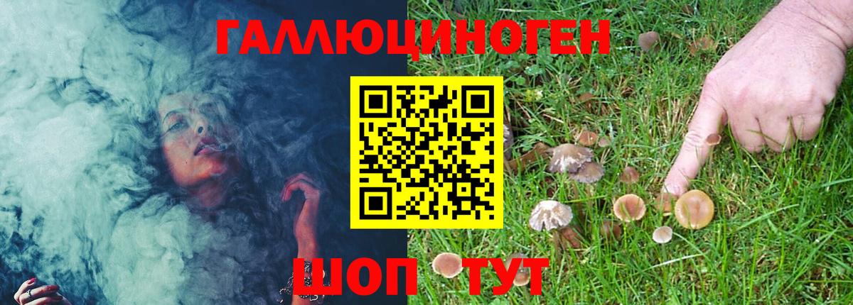 Галлюциногенные грибы MAGIC MUSHROOMS  Вход с VPN  где продают   Кострома 